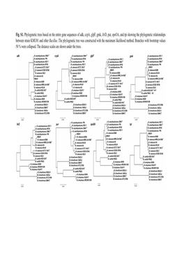 Fig. S1. Phylogenetic Trees Based on the Entire Gene Sequences of Adk