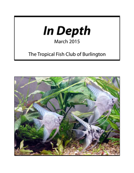 In Depth March 2015