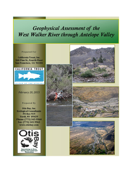 Geophysical Assessment of the West Walker River