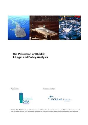 The Protection of Sharks: a Legal and Policy Analysis