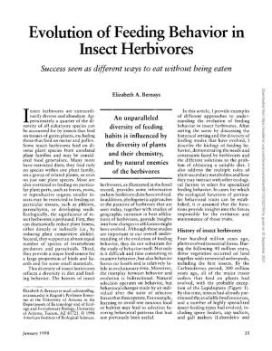 Evolution of Feeding Behavior in Insect Herbivores