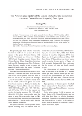 Araneae, Oonopidae and Anapidae) from Japan