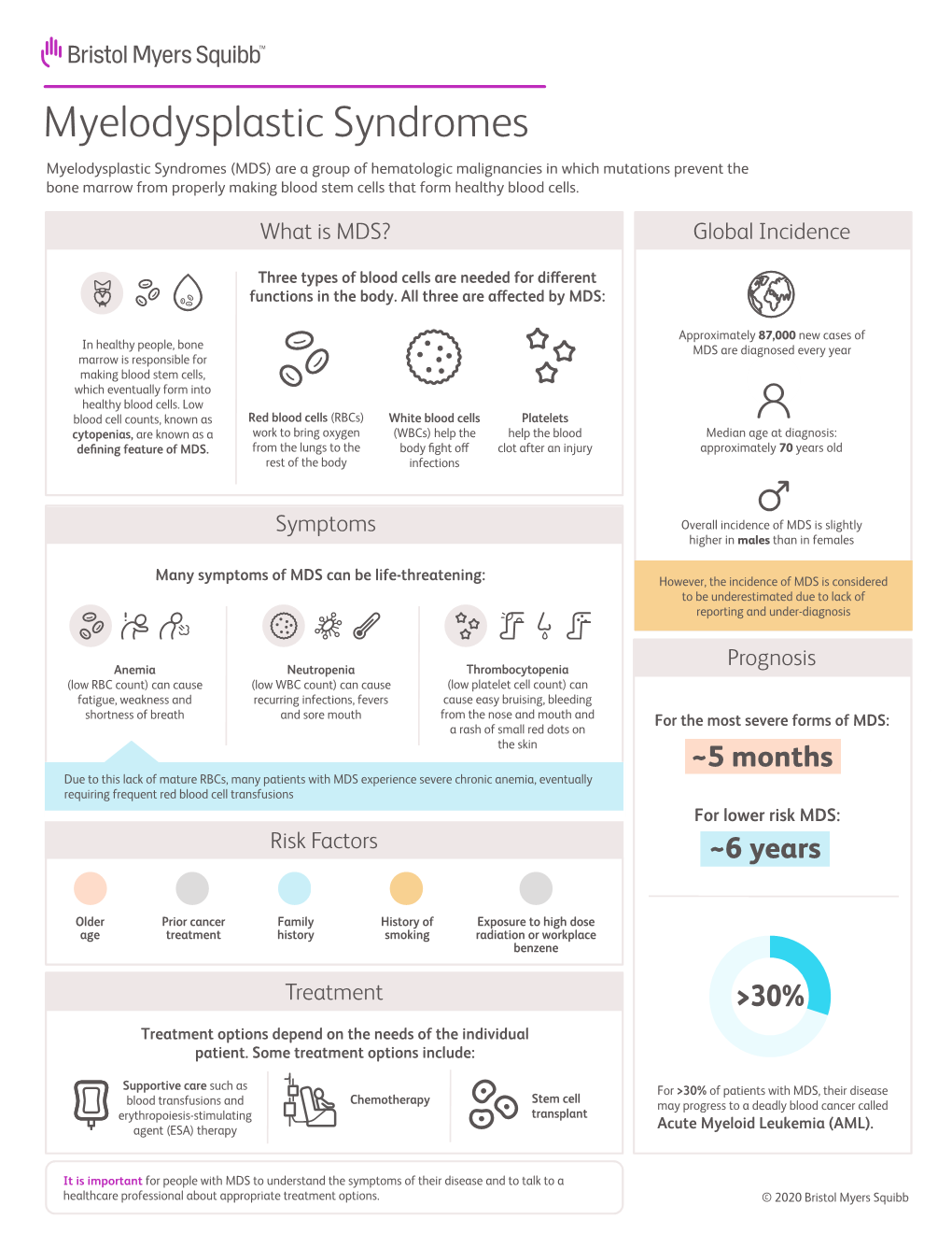 Myelodysplastic Syndromes Fact Sheet