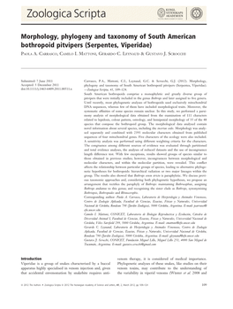 Morphology, Phylogeny and Taxonomy of South American Bothropoid Pitvipers (Serpentes, Viperidae)