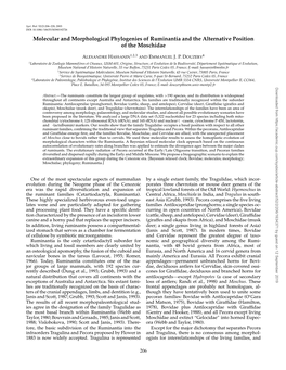 Molecular and Morphological Phylogenies of Ruminantia and the Alternative Position of the Moschidae