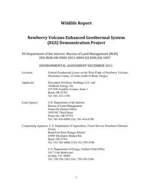 Wildlife Report for the Newberry Volcano Enhanced Geothermal System (EGS) Demonstration Project