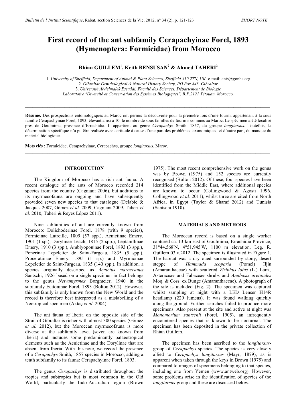 First Record of the Ant Subfamily Cerapachyinae Forel, 1893 (Hymenoptera: Formicidae) from Morocco