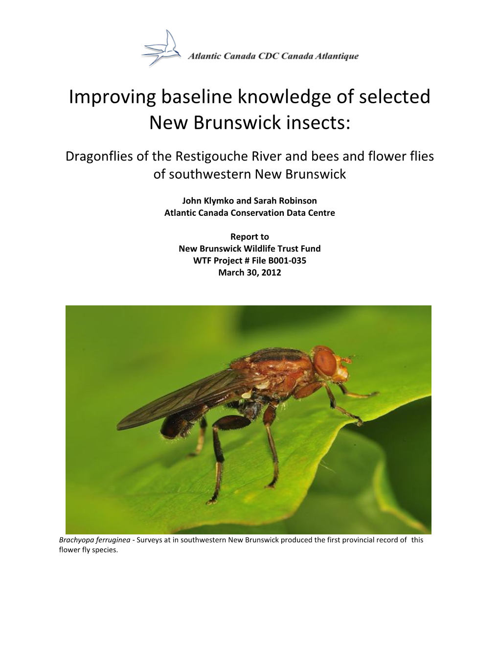 Improving Baseline Knowledge of Selected New Brunswick Insects