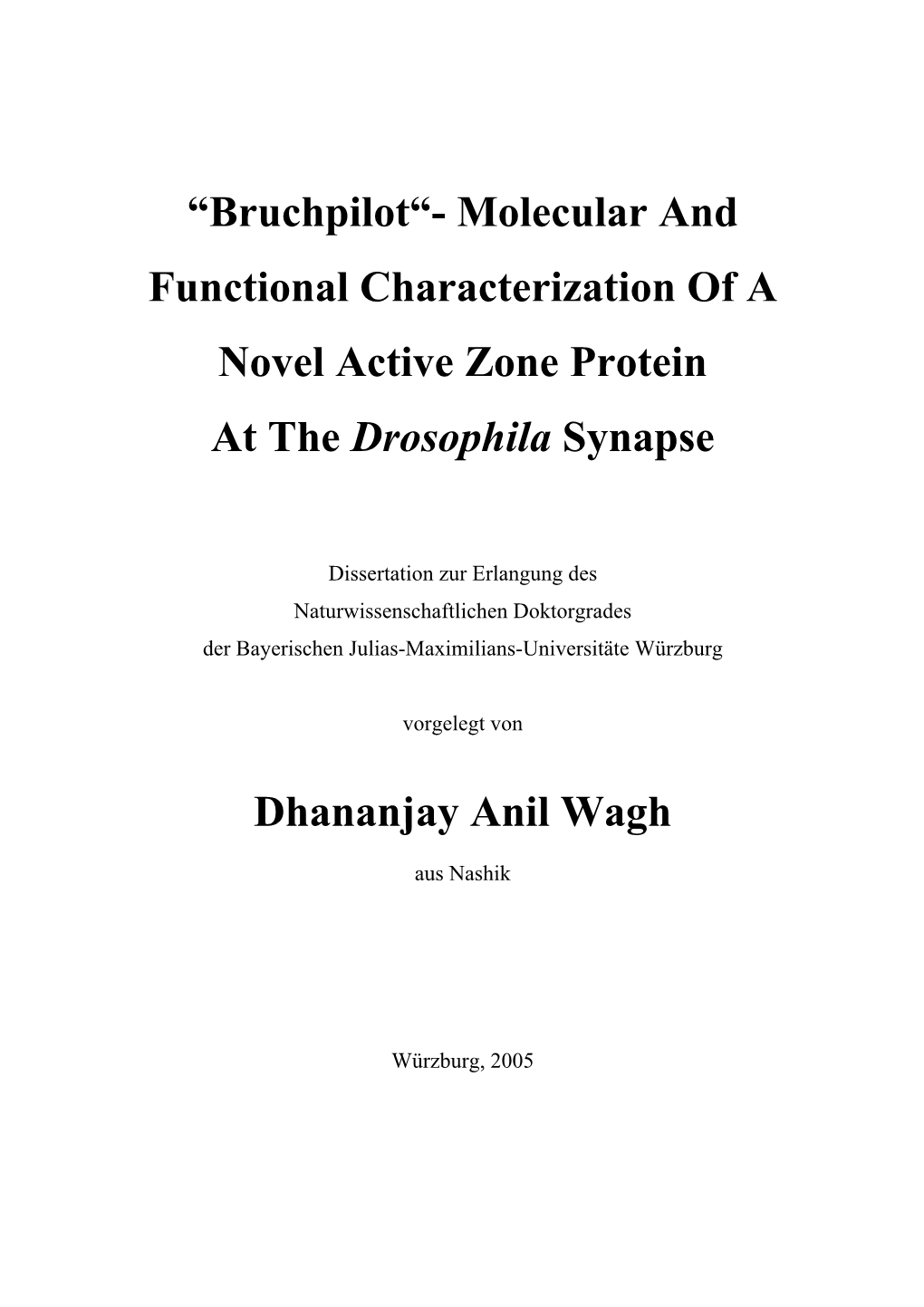 Bruchpilot“- Molecular and Functional Characterization of a Novel Active Zone Protein at the Drosophila Synapse