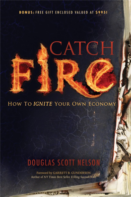 Catch Fire How to Ignite Your Own Economy
