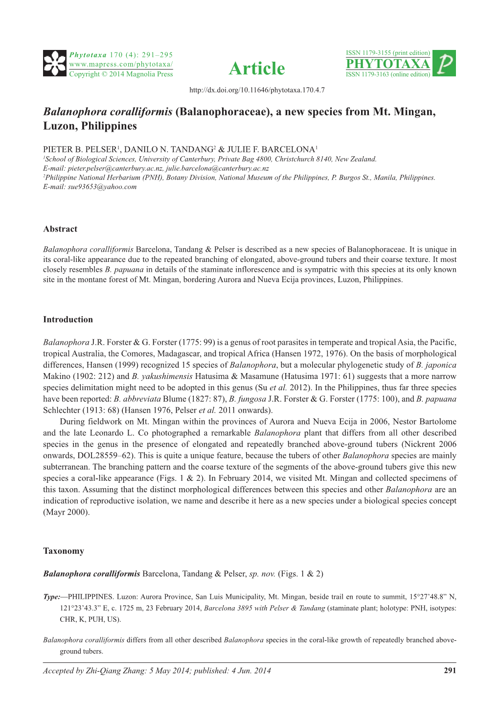 Balanophora Coralliformis (Balanophoraceae), a New Species from Mt