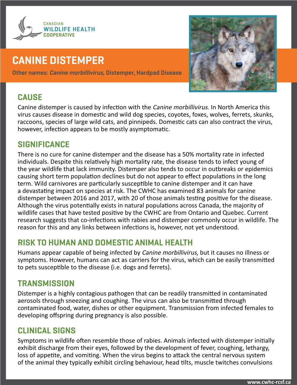 CANINE DISTEMPER Other Names: Canine Morbillivirus, Distemper, Hardpad Disease