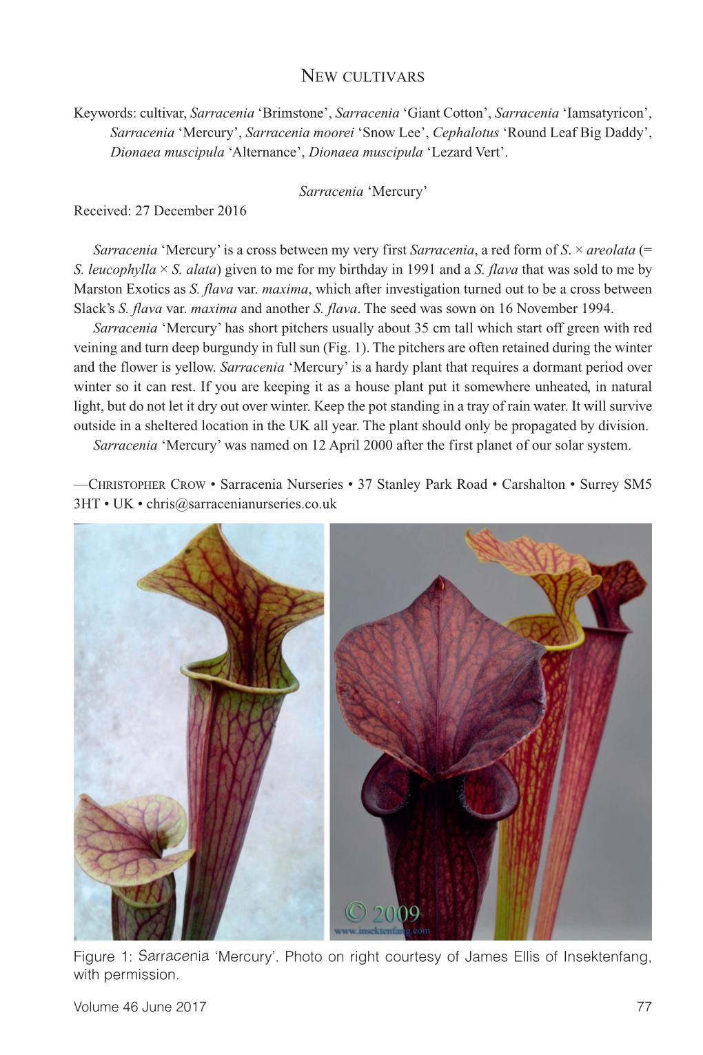 Carnivorous Plant Newsletter V46 N2 June 2017