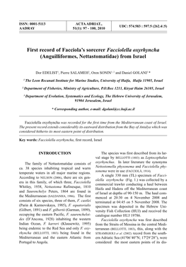 First Record of Facciola's Sorcerer Facciolella Oxyrhyncha