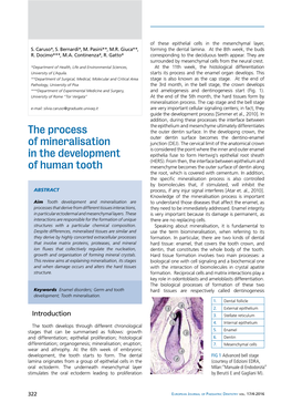 The Process of Mineralisation in the Development of Human Tooth