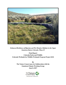 Enhanced Resilience of Riparian and Wet Meadow Habitats in the Upper Gunnison Basin, Colorado: Phase II