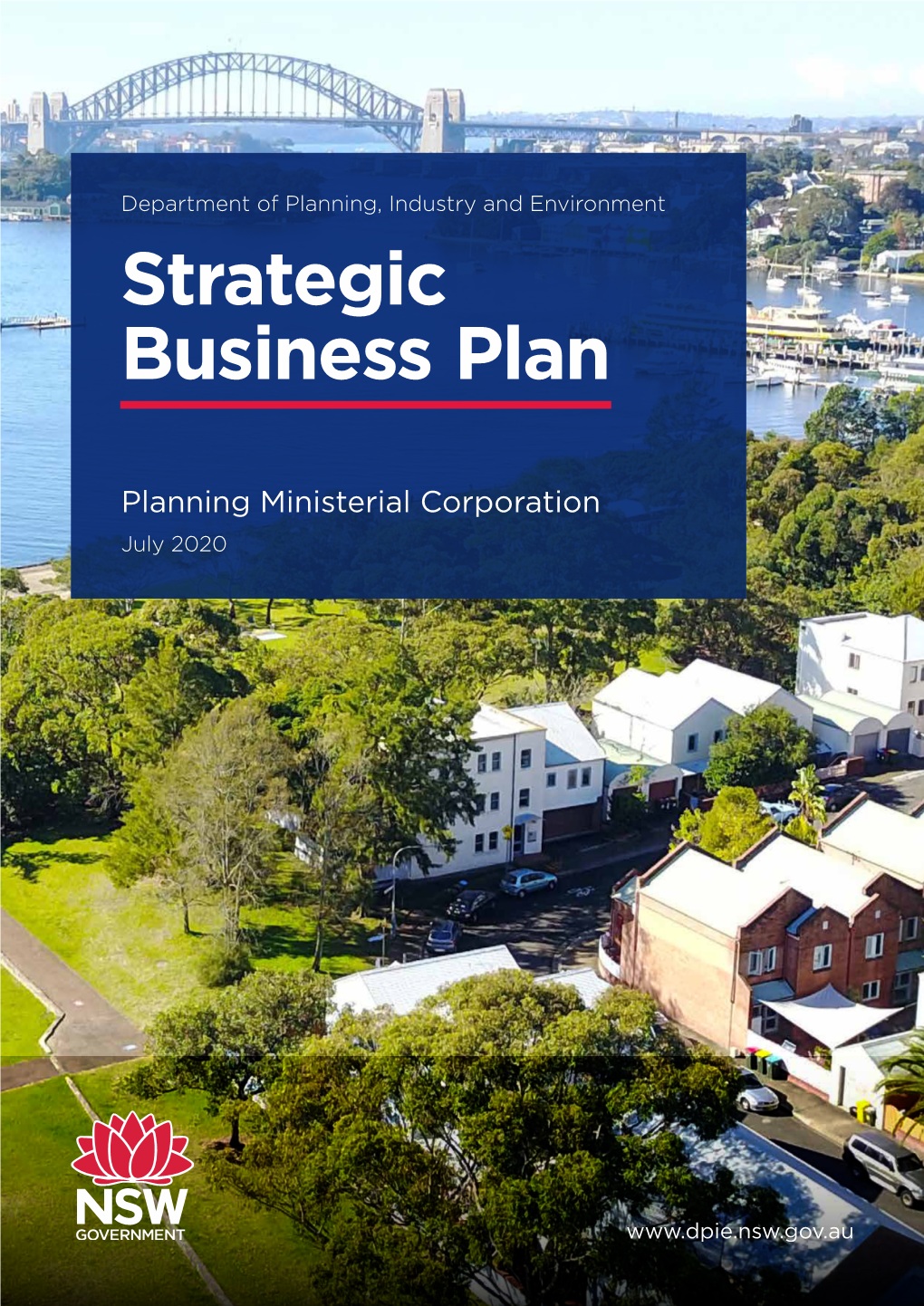 Download the Strategic Business Plan