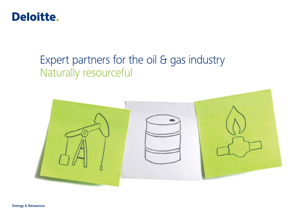 Expert Partners for the Oil & Gas Industry Download The