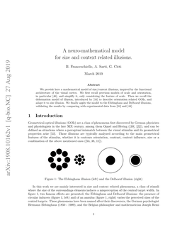 A Neuro-Mathematical Model for Size and Context Related Illusions