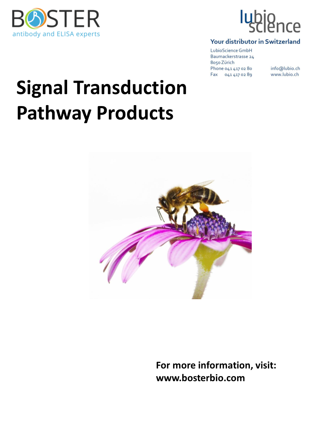 Signal Transduction Pathway Products