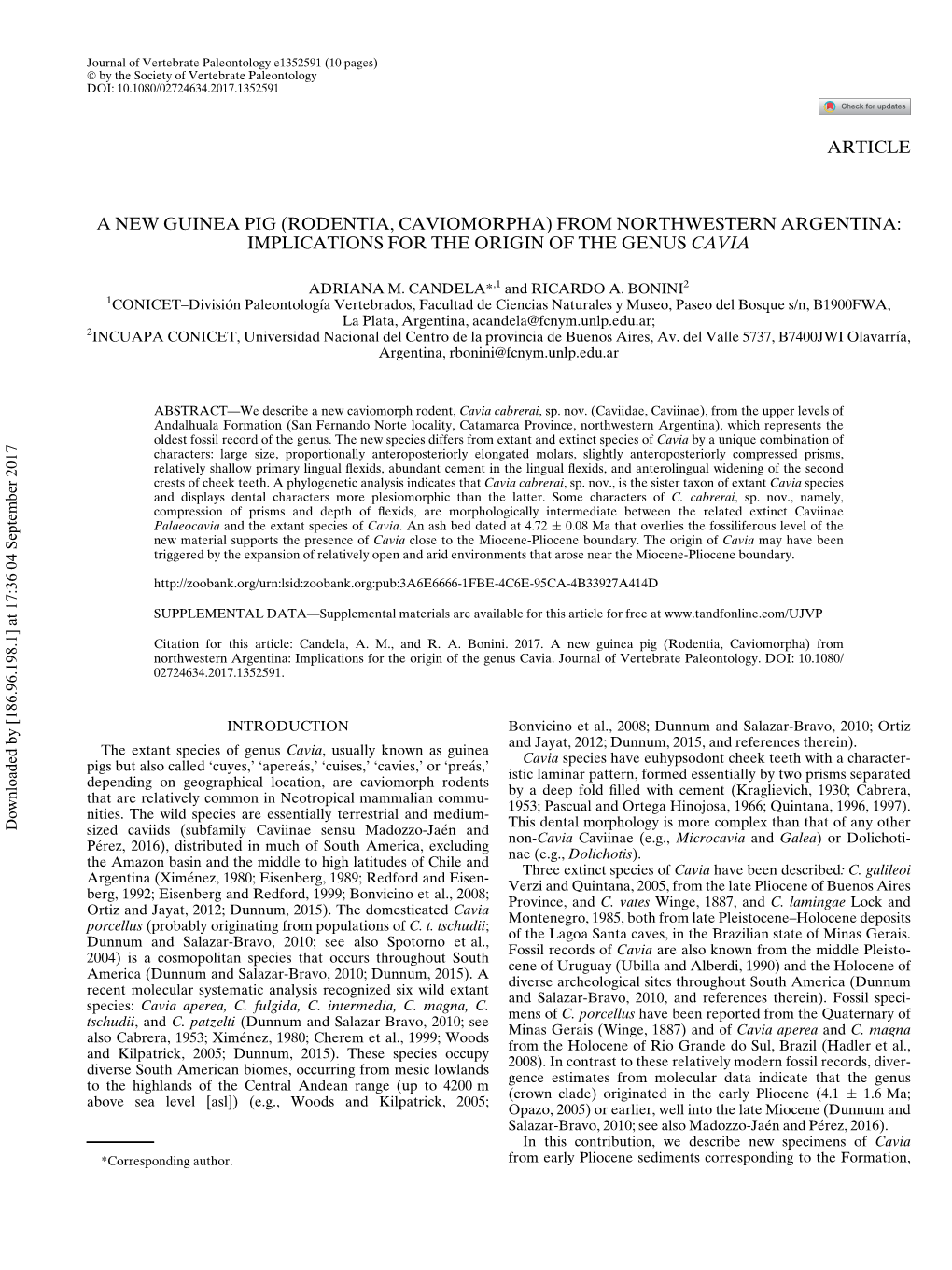 Implications for the Origin of the Genus Cavia