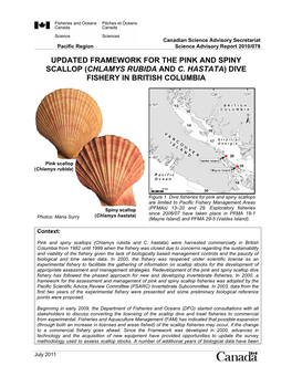 Updated Framework for the Pink and Spiny Scallop (Chlamys Rubida and C