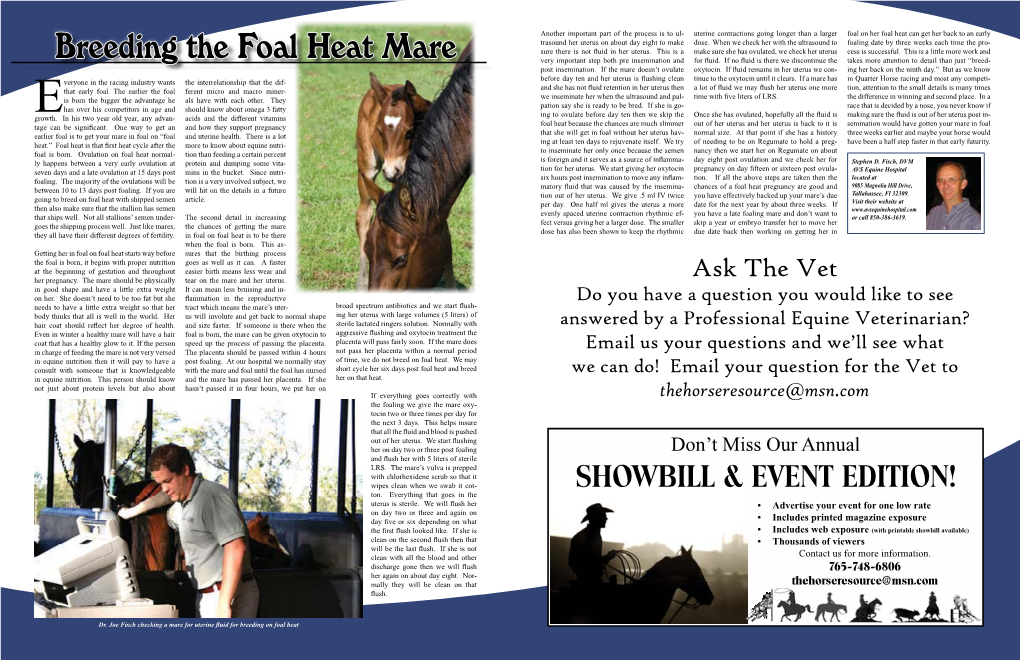 Breeding the Foal Heat Mare Very Important Step Both Pre Insemination and for Fluid