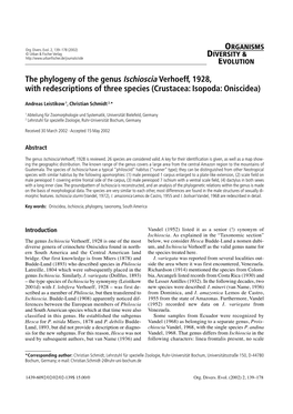 The Phylogeny of the Genus Ischioscia Verhoeff, 1928, with Redescriptions of Three Species (Crustacea: Isopoda: Oniscidea)