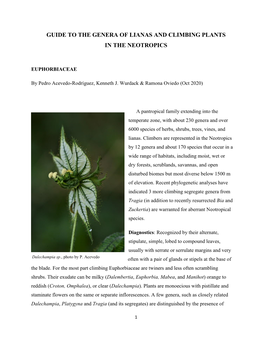 Lianas and Climbing Plants Or the Neotropics: Euphorbiaceae