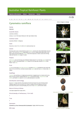 Cynometra Ramiflora Click on Images to Enlarge