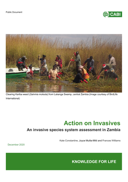 An Invasive Species Assessment in Zambia