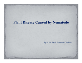Plant Disease Caused by Nematode