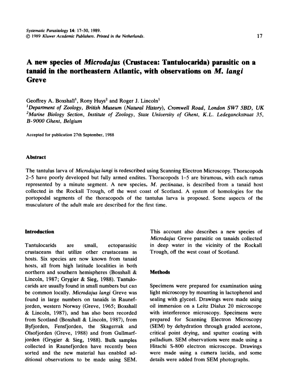 (Crustacea: Tantulocarida) Parasitic on a Tanaid in the Northeastern Atlantic, with Observations on M