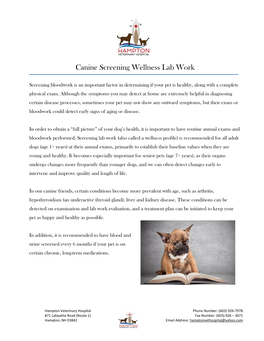 Canine Screening Wellness Lab Work