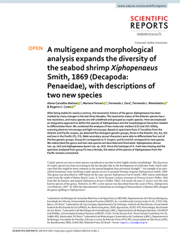 Decapoda: Penaeidae), with Descriptions of Two New Species Abner Carvalho-Batista 1, Mariana Terossi 2, Fernando J