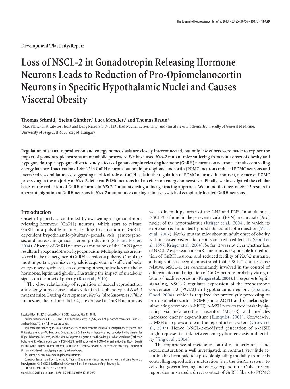 Loss of NSCL-2 in Gonadotropin Releasing Hormone Neurons