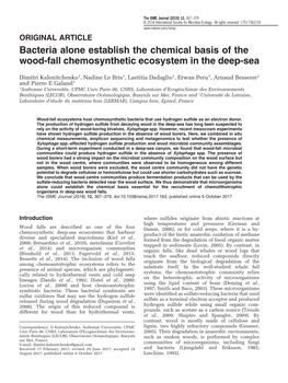 Bacteria Alone Establish the Chemical Basis of the Wood-Fall Chemosynthetic Ecosystem in the Deep-Sea