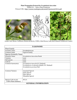 Draft Plant Propagation Protocol