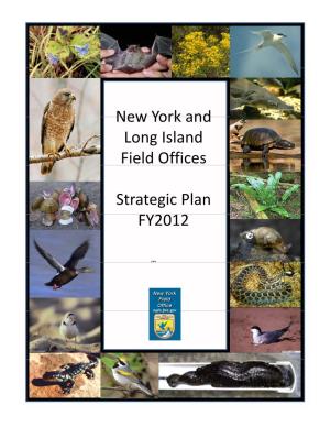 New York and New York and Long Island Field Offices Strategic Plan
