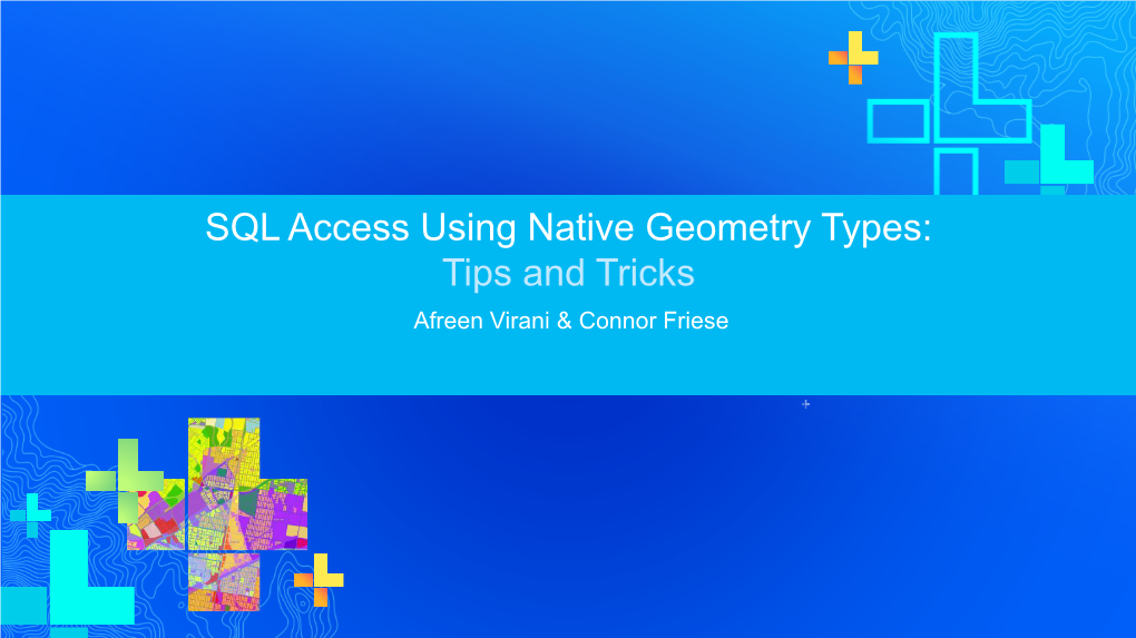 SQL Access Using Native Geometry Types: Tips and Tricks Afreen Virani & Connor Friese Assumptions Target Audience