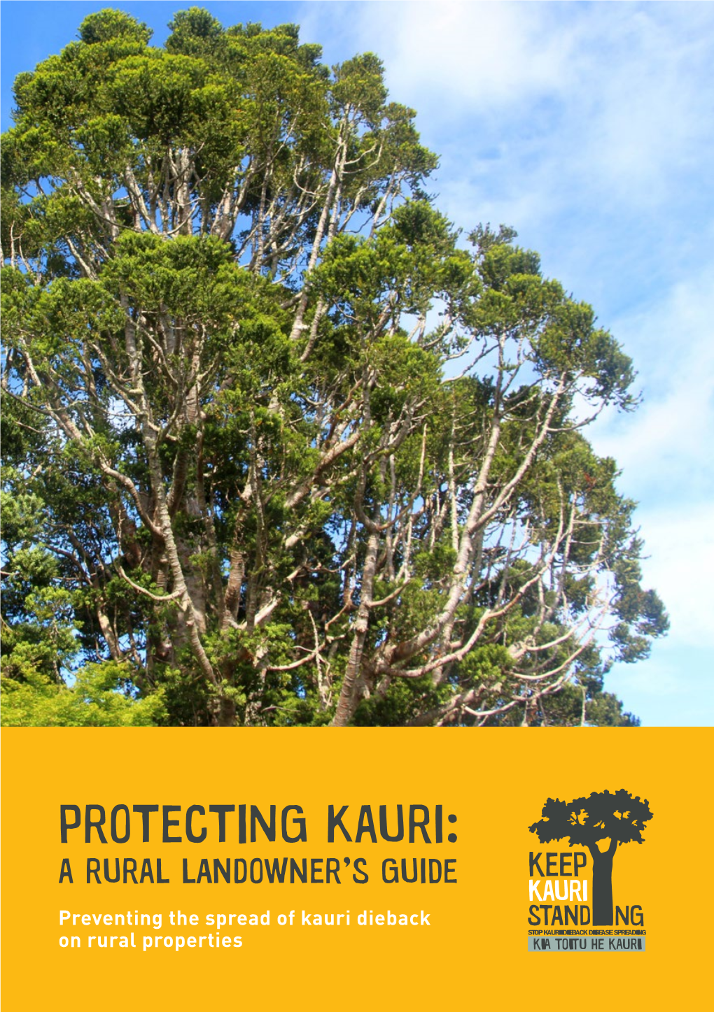 Protecting Kauri