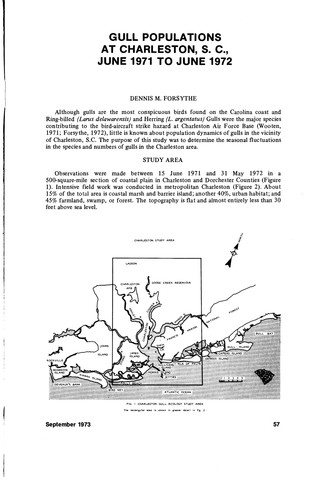 Gull Populations at Charleston, S. C June 1971 to June 1972