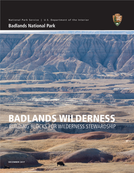 Badlands Wilderness Building Blocks for Wilderness Stewardship