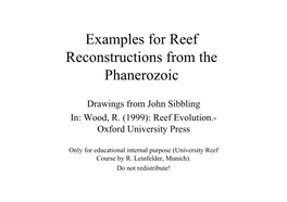 Examples for Reef Reconstructions from the Phanerozoic