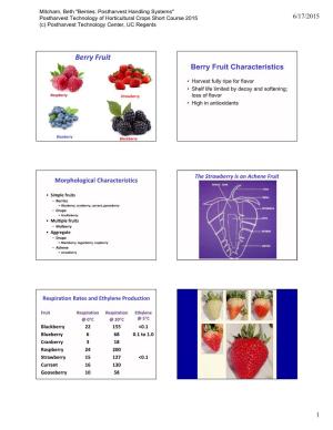 Berry Fruit Berry Fruit Characteristics