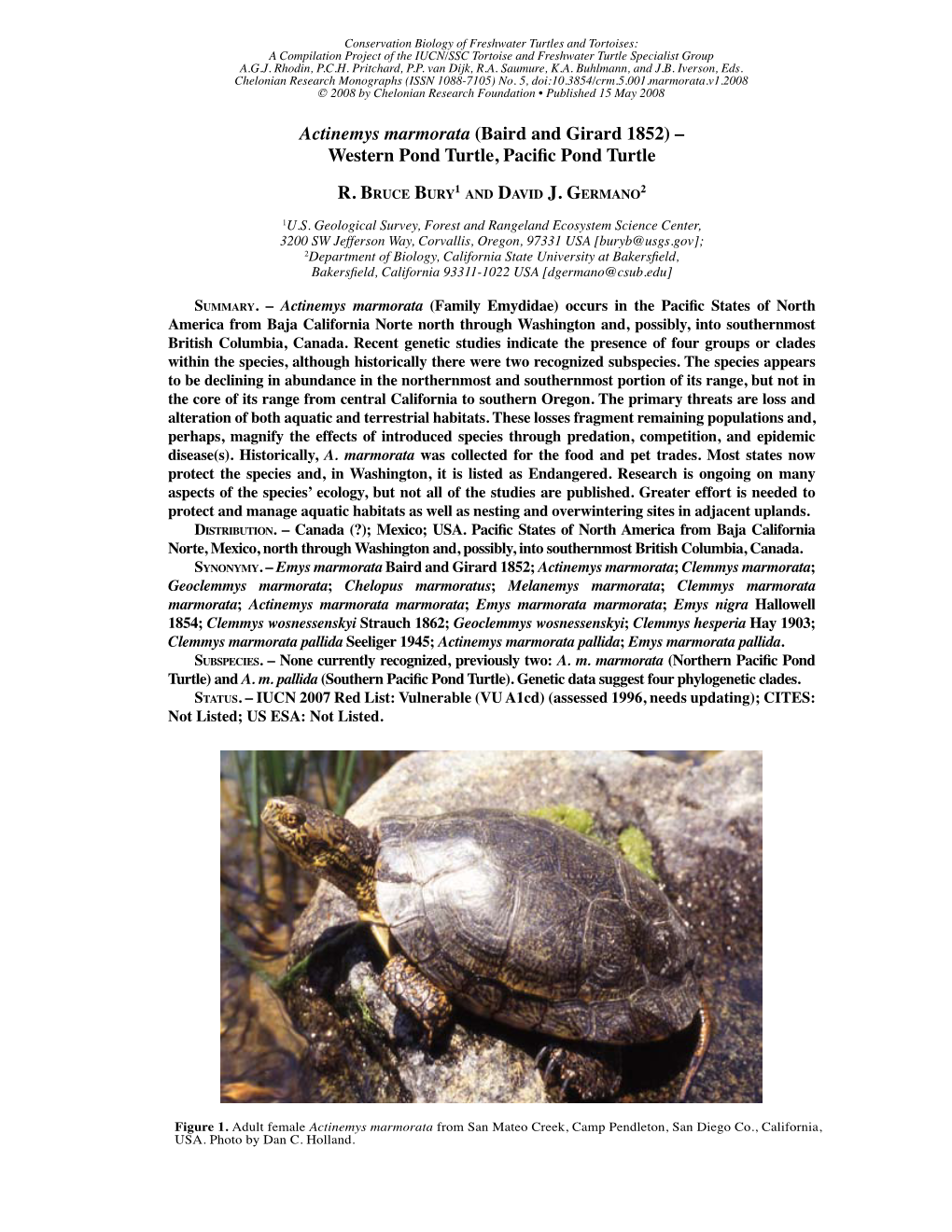 Actinemys Marmorata (Baird and Girard 1852) – Western Pond Turtle, Pacific Pond Turtle