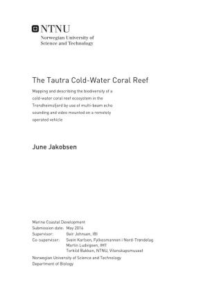 The Tautra Cold-Water Coral Reef
