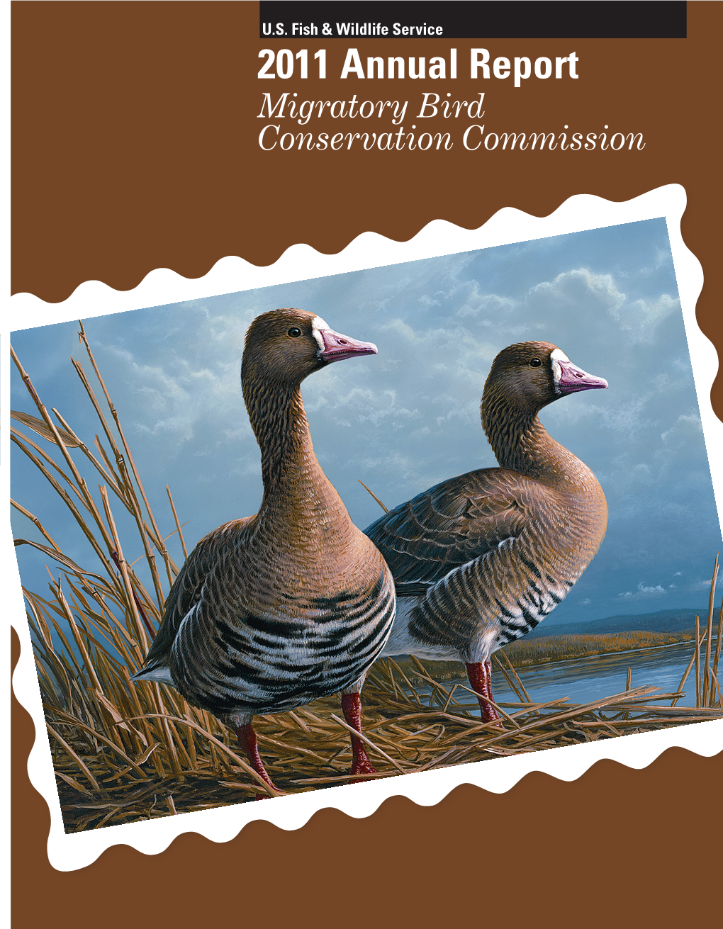 2011 Annual Report Migratory Bird Conservation Commission on the Cover: White-Fronted Geese