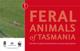 Of Tasmania How You Can Help Control the State’S Worst Pest Animal Species