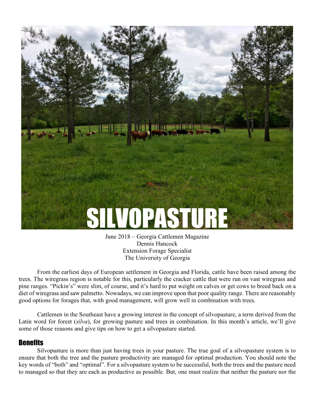 SILVOPASTURE June 2018 – Georgia Cattlemen Magazine Dennis Hancock Extension Forage Specialist the University of Georgia